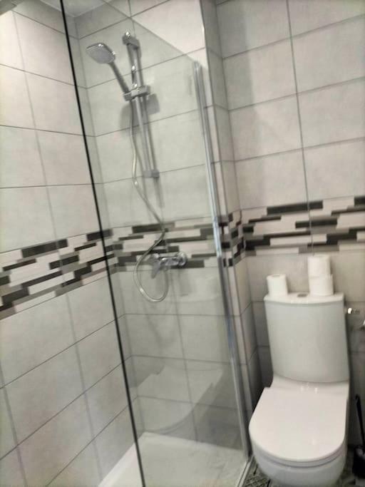 Appartement Avec Balcon Et Parking Prive Роанн Екстер'єр фото