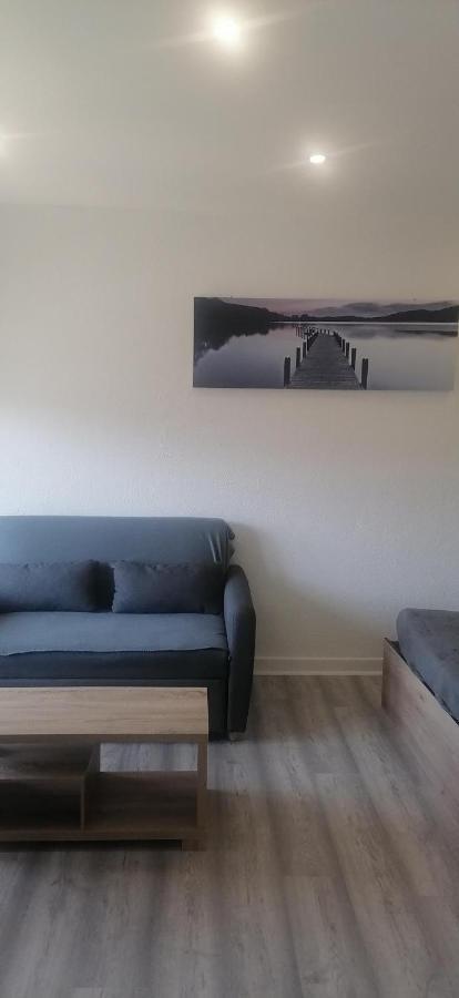 Appartement Avec Balcon Et Parking Prive Роанн Екстер'єр фото